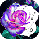 纽卡斯尔联确认卡里乌斯等五人将于今夏合同期满后离队