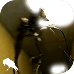 极狐：打造最强最高欲望大奖赛！